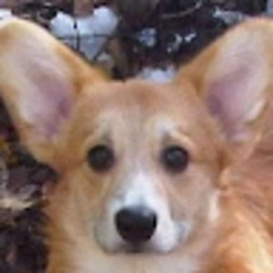 Meet your Posher, Brandy